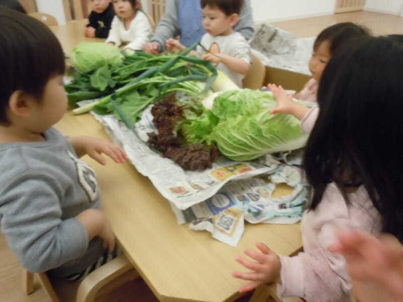 色んな野菜に触れてみました あけぼのキッズハウス 広島市南区宇品海岸の企業主導型保育園